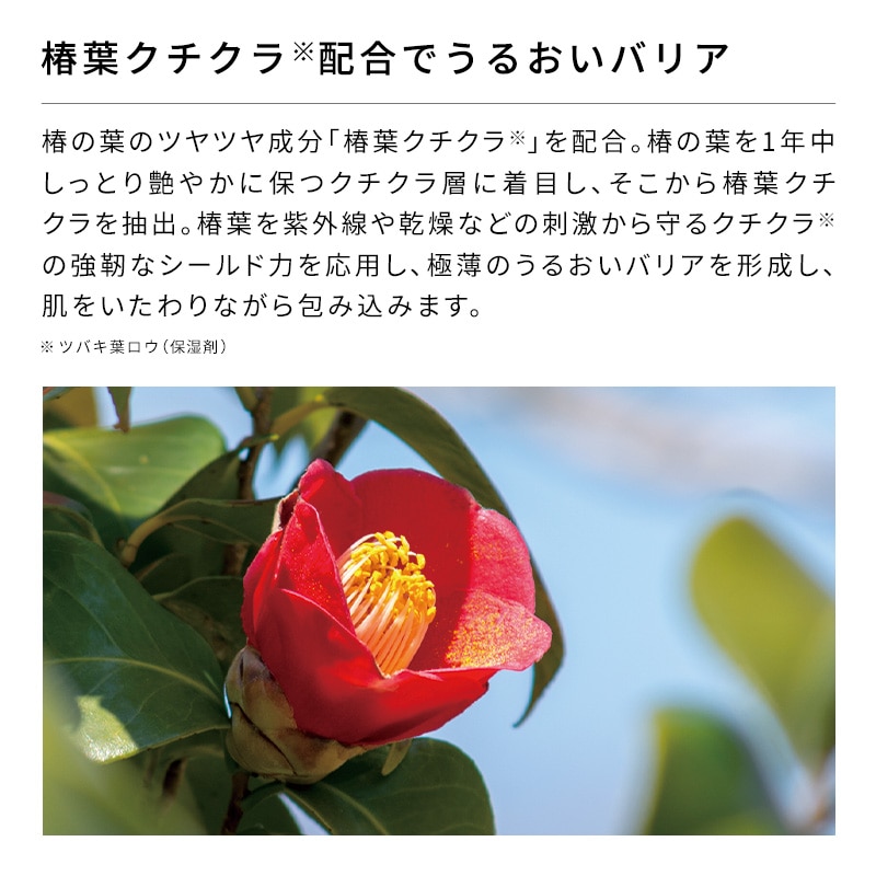 リファビューテックボディウォッシュ 詰め替え用 1000mL