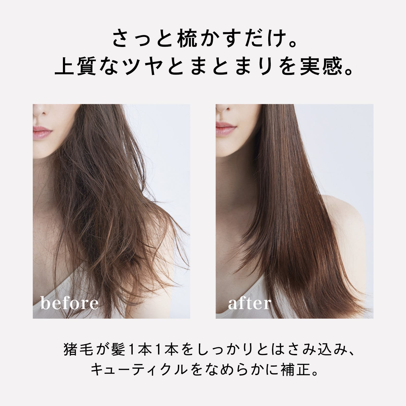 【ReFaギフトラッピングセット S】リファブリッスル