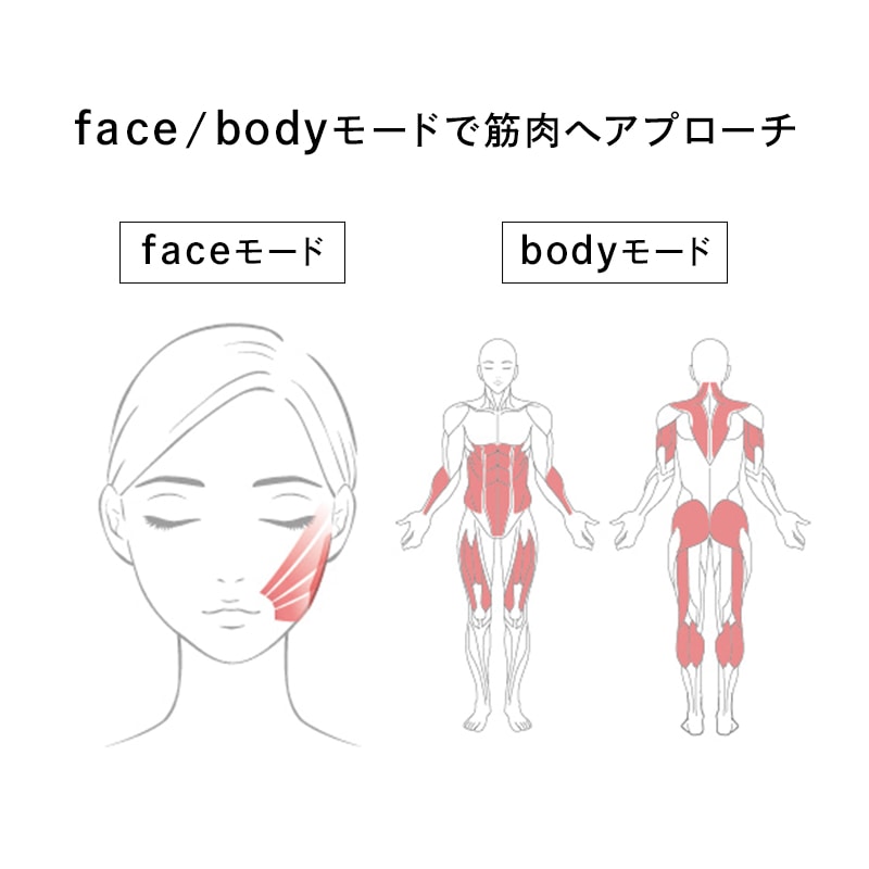 【ReFaギフトラッピングセット S】リファカラットリフト