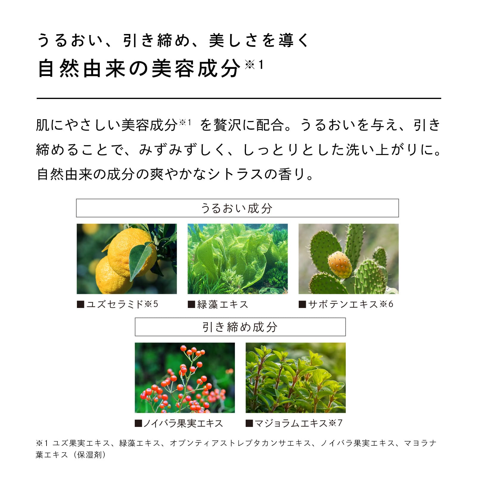 【ReFaギフトラッピングセット SS】リファ スパフォームウォッシュ