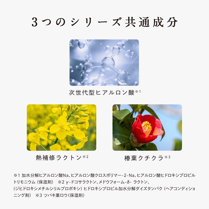 リファビューテックシャンプー 500mL & リファビューテックトリートメント 500g セット