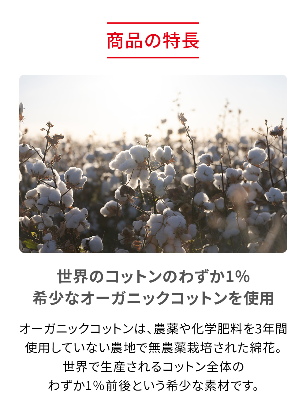 ReD ぐっすりパジャマ オーガニックコットン 長袖ロングパンツセット ネイビー S ネイビー S
