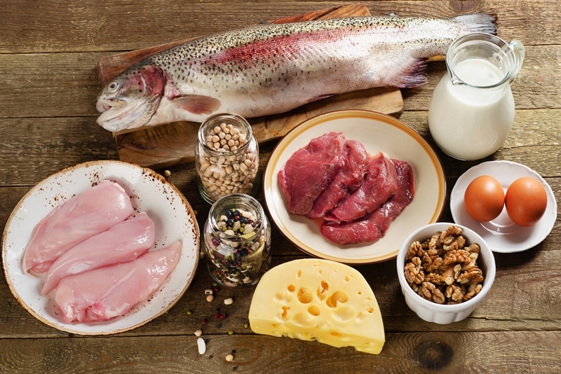 たんぱく質を摂る