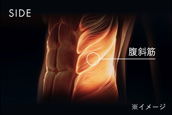 SIDE 腹斜筋