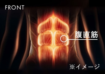 FRONT 腹直筋 ※イメージ